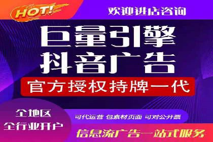 SEM专员案例：数据分析与优化